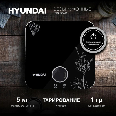 ���� �������� Hyundai HYS-KG421