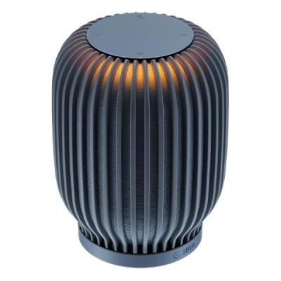 SBER ������� ����� SberBoom 40 ��, � ��������� ����������� ����� (SBDV-00090s), �����-�����