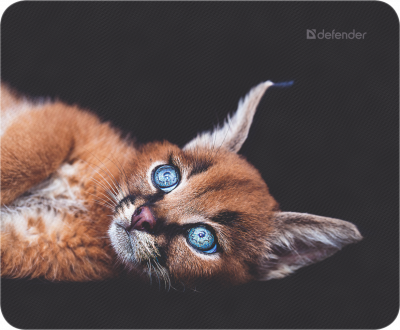 ������ Defender ��� ����� WILD ANIMALS 50803