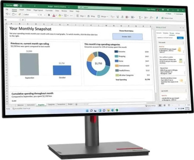 ������� Lenovo 27" ThinkVision P27h-30 2560x1440 IPS LED ������