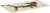 Коврик для мыши Cactus Shark 900x400x4мм (CS-MP-COR03XXL) Коврик для мыши Cactus Shark 900x400x4мм (CS-MP-COR03XXL)