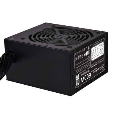 ���� ������� Silverstone 600�� SST-ST60F-ES230 V1.0
