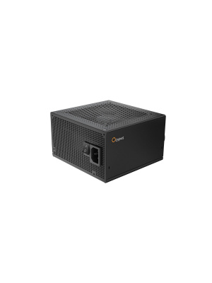 ���� ������� Ocypus Delta P650S, 650W, APFC, 80+ Bronze, ATX 3.1, 120mm Fan (P650S-BF)