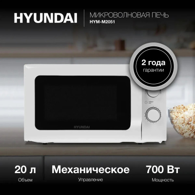 ������������� ���� Hyundai HYM-M2051 20�. 700�� �����