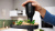 Мясорубка Bosch MFWS607W белый Мясорубка Bosch MFWS607W белый
